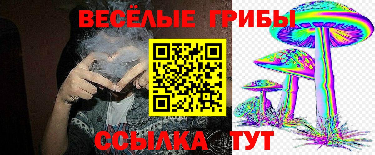 Псилоцибиновые грибы MAGIC MUSHROOMS  Вход с VPN  цены наркотик  Ачинск 